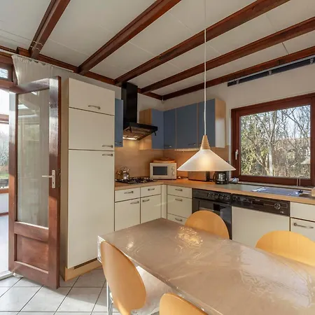 Orchis4 Near Dunes In Julianadorp