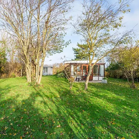 Orchis4 Near Dunes In Julianadorp