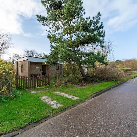 Orchis4 Near Dunes In *