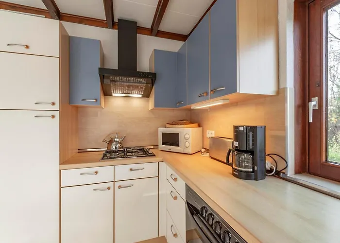 Orchis4 Near Dunes In Julianadorp