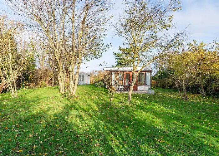 Orchis4 Near Dunes In Julianadorp