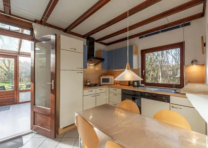 Orchis4 Near Dunes In Julianadorp