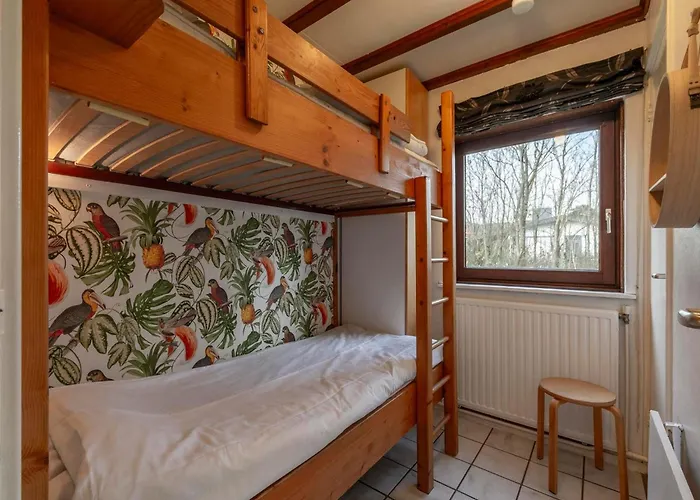 Orchis4 Near Dunes In * Julianadorp