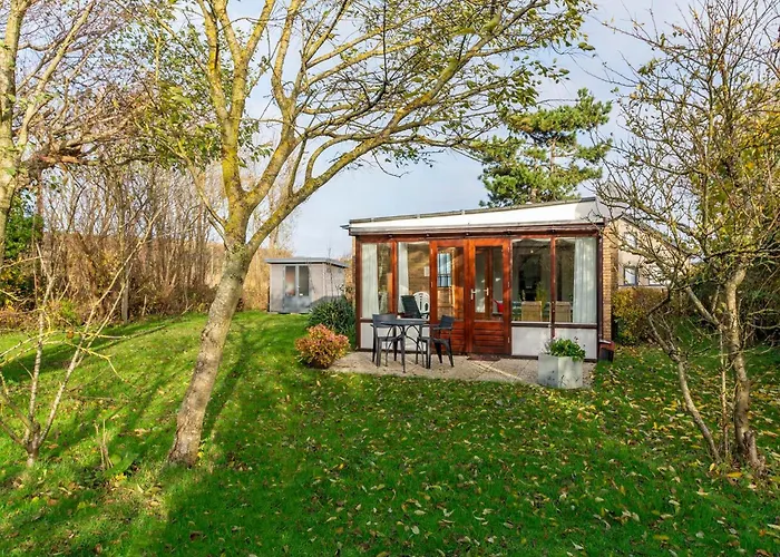 Orchis4 Near Dunes In