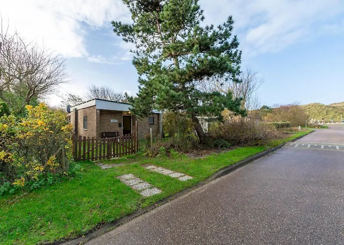 Orchis4 Near Dunes In *